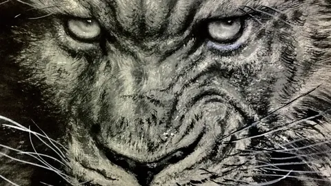 国安与海港2-2战平，武磊双响张玉宁点球立功